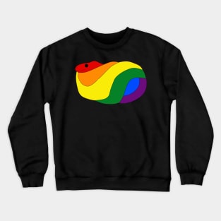 Rainbow Snake Crewneck Sweatshirt